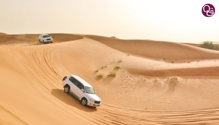 Dubai Desert Safari