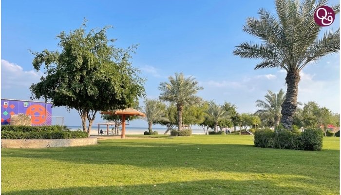 Exploring the Best Picnic Spots in Doha, Qatar